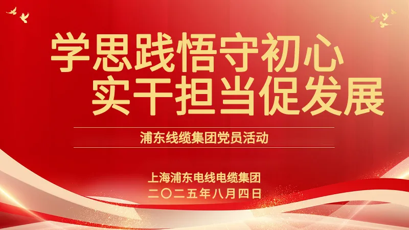 党员活动 | 浦东线缆集团:学思践悟守初心,实干担当促发展